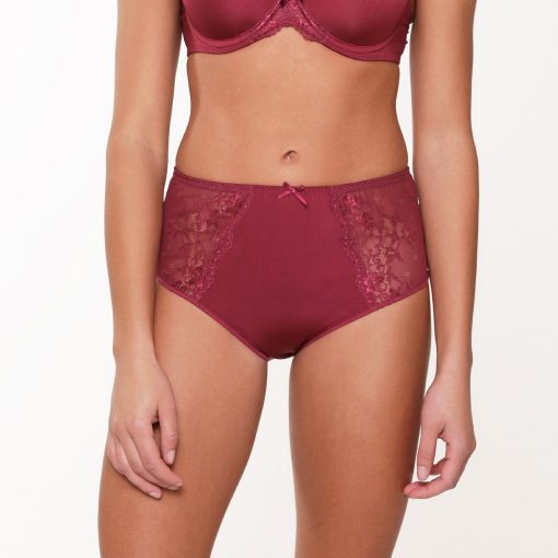 LingaDore Daily Hgh Waist Brief Tawny port