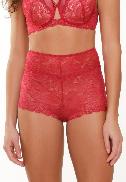 Lingadore Cerise Hig waist shorty Cerise