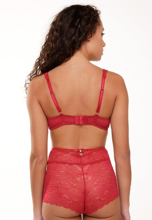 Lingadore Cerise Hig waist shorty Cerise - Image 3